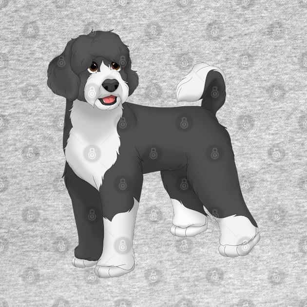 Black & White Portuguese Water Dog by millersye